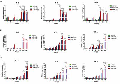 Regularity of Toll-Like Receptors in Bovine Mammary Epithelial Cells Induced by Mycoplasma bovis